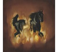 The Besnard Lakes The Besnard Lakes Are a Dark Horse (Vinyl LP)
