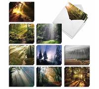 The Best Card Company - 20 Landscape Nature Note Cards Blank (4 x 5.12 Inch) (10 Designs, 2 Each) - Shining Through AM1735OCB-B2x10-NB