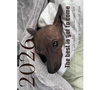 "The best is yet to come" Inspiring 2026 calendar - challenge