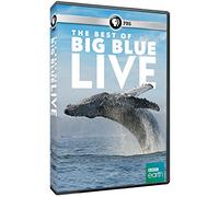 The Best of Big Blue Live