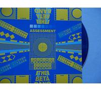 The Beta Band - Assessment