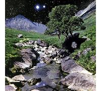 The Beta Band - Deluxe (5 Lp) - Beta Band (The) (Vinile)