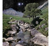 The Beta Band The Beta Band (Vinyl LP) 12" Album with CD