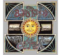 The Bevis Frond Any Gas Faster (Vinyl LP) 12" Album