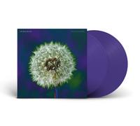 The Bevis Frond Focus On Nature (Vinyl LP)