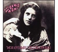 The Bevis Frond - The Auntie Winnie Album