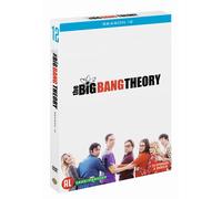 BIG BANG THEORY, THE - S12 (SDVD)