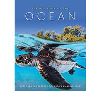 Sona Books The Big Book of the Ocean (Copertina rigida)