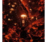 The Big Idea by Dave Stewart/Barbara Gaskin