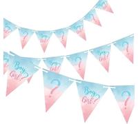 The Big Reveal Pennant Banner - 15' | Blu & Rosa | 1 Pc.