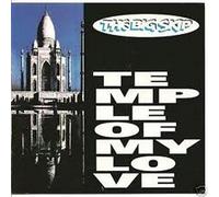 THE BIG SKIP - Temple of My Love