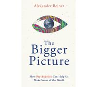 Alexander Beiner The Bigger Picture (Tascabile)