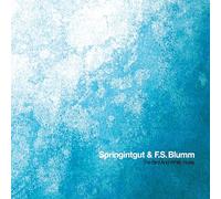 The Bird And White Noise