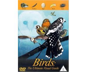 The Birds - The Ultimate Visual Guide [DVD] [Edizione: Regno Unito]