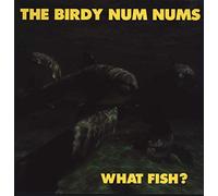 The Birdy Num Nums - What Fish?