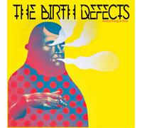 The Birth Defects Everything Is Fine (Vinyl LP)
