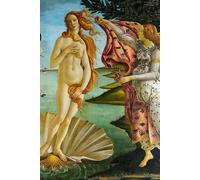 The Birth of Venus - Sandro Botticelli - Notebook: 120 Lined Pages 6" x 9" Journal Diary Notepad
