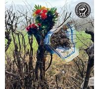 The Black Dog Sleep Deprivation (Vinyl LP) 12" Album