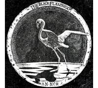 The Black Flamingo An-Nûr (Vinyl LP) 12" Album