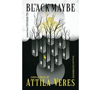 The Black Maybe: Liminal Tales