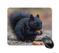 The Black Squirrel Is Eating Nuts Tappetini Mouse Soffice Mousemat Antiscivolo Tappetino Mouse per Laptop Ufficio Lavoro 25X30Cm