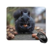 The Black Squirrel Is Eating Nuts Tappetino per Mouse Soffice Mousepad Antiscivolo Tappetini Mouse per Lavoro Casa Computer 25X30Cm