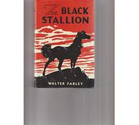 The Black Stallion