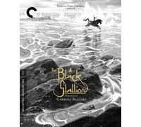 The Black Stallion (Blu-ray) Kelly Reno Mickey Rooney Teri Garr