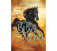 The Black Stallion Returns