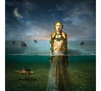 The Bled - Found In The Flood [VINYL]