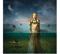 The Bled Found in the Flood (Vinyl LP)