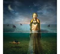 The Bled - Found In The Flood [VINYL]