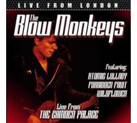 The Blow Monkeys Live from London (CD) Album