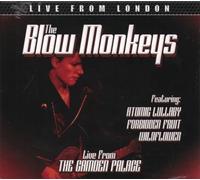 The Blow Monkeys - Live from the Camden Palace