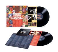 The Blue Aeropl Magical Realism: The Best of the Blue Aeroplanes 1985 (Vinyl LP)