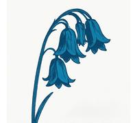 The Bluebells This Is the Bluebells (Vinyl LP) (PRESALE 27/03/2026)