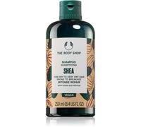 The Body Shop Shampoo al karité - Shea Shampoo (250 ml)