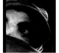 The Body The Crying Out of Things (Vinyl LP) 12" Album