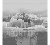 If These Trees Could Talk The Bones of a Dying World (CD) Album