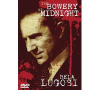 The Bowery At Midnight