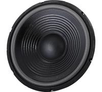 the box 12" Speaker TT305-H