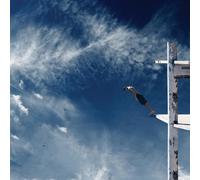 The Boxer Rebellion Promises (Vinyl LP)