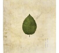 The Boxer Rebellion The Cold Still (Vinyl LP)