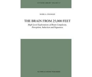 The Brain from 25,000 Feet - Mark A. Changizi - Springer, 2010