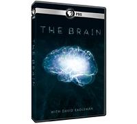 The Brain with David Eagleman
