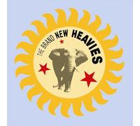 THE BRAND NEW HEAVIES - Brand New Heavies (2022) LP vinyl pre order