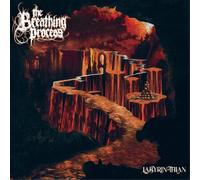 The Breathing Process Labyrinthian (Vinyl LP)