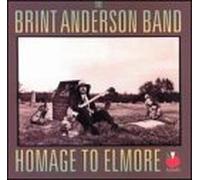 The Brint Anderson Band - Homage to Elmore