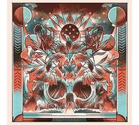 The Broadside Hack - Live from Real World [VINYL]