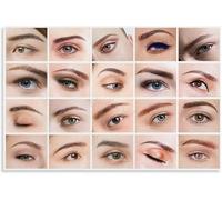The Brow Atlas Canvas Art Print Eyebrow Shaping Definitive Guide for Style Studio Decor(Unframed,08x12inch(20x30cm))